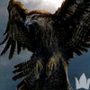 BlackHawk